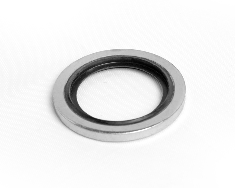 Stainless Steel Outer Ring, Fluorocarbon FKM Inner Ring, Gasket for 1/4" ISO Parallel Thread(RS)