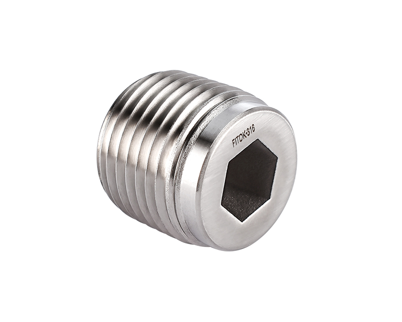 316 SS, Pipe Fitting, Hollow Hex Plug, 1/4" Male ISO Tapered Pipe Thread