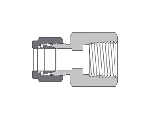 [B-CF-FL4-NS4] Female Connector, Brass, 1/4in. Tube OD, 2-Ferrule x 1/4in. (F)NPT